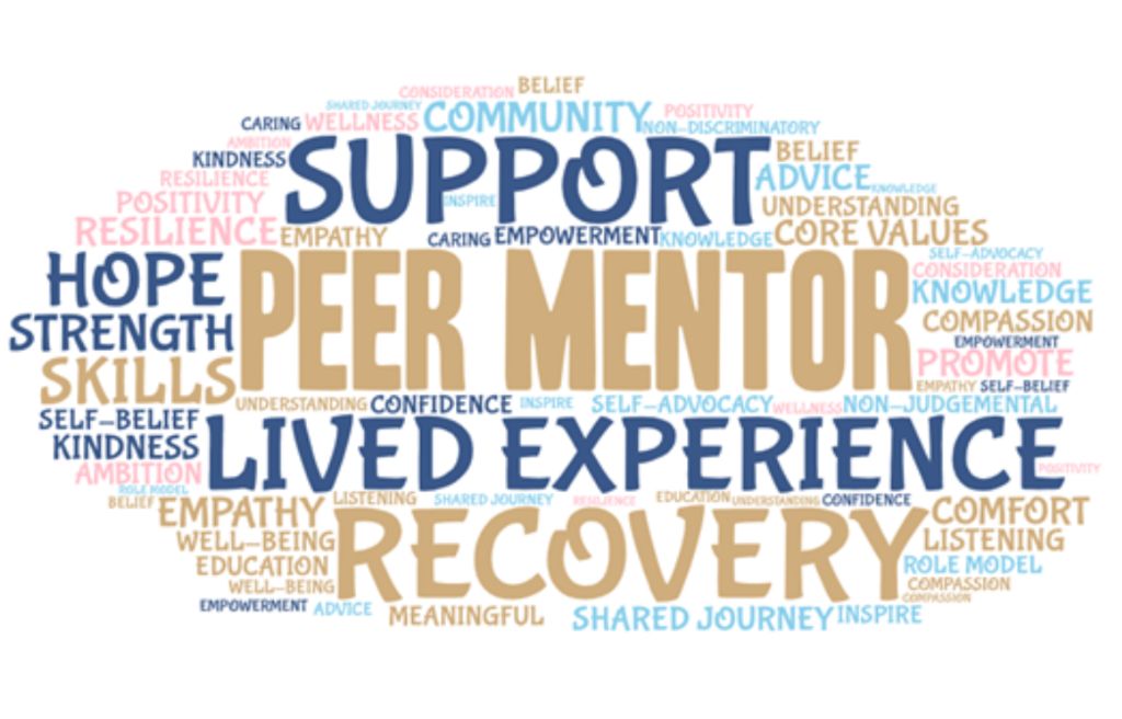 Peer Mentoring Programs