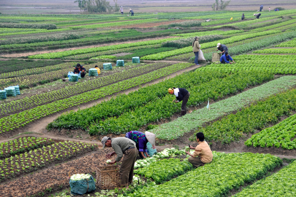 Promoting Sustainable Agriculture