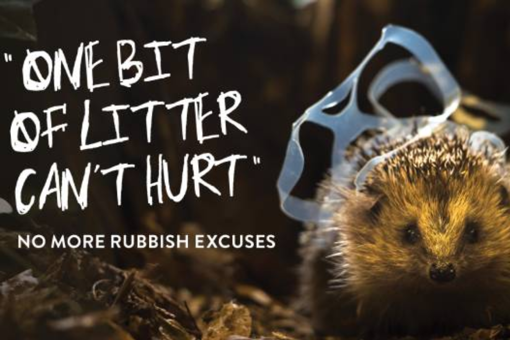 Anti-Littering Campaigns