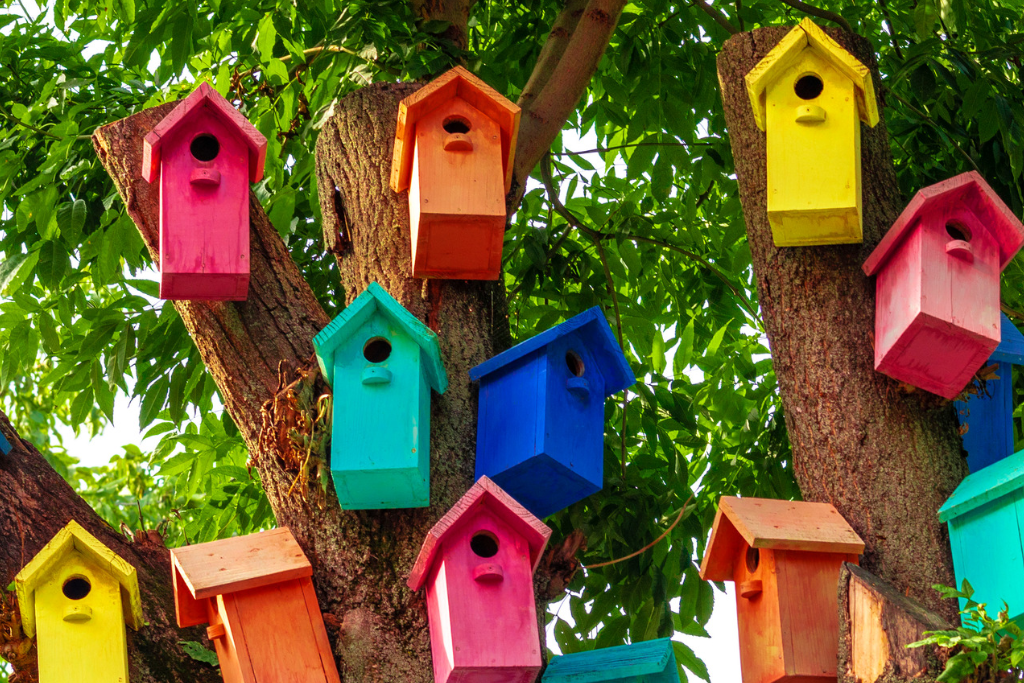 Building Birdhouses