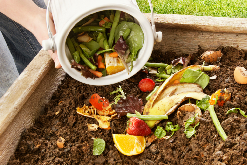 Composting Workshops