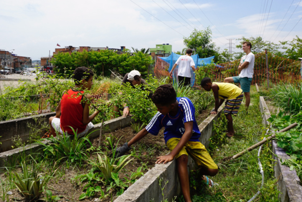 Establishing Community Gardens